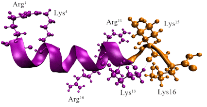 多肽原料药技术转让